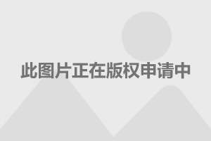 im钱包app最新版_钱包最新版本_钱包最新版官网下载