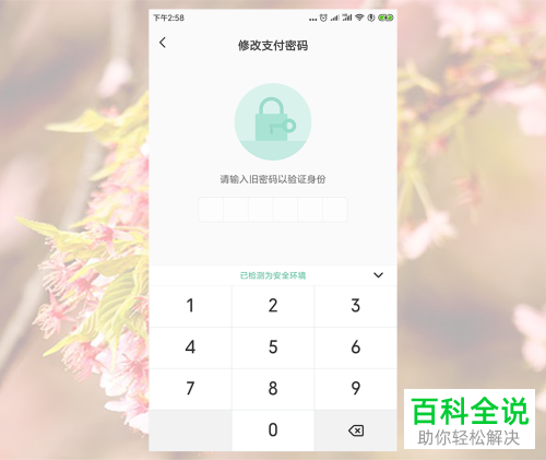 imtoken钱包怎么修改密码_imtoken钱包下载_钱包密码修改