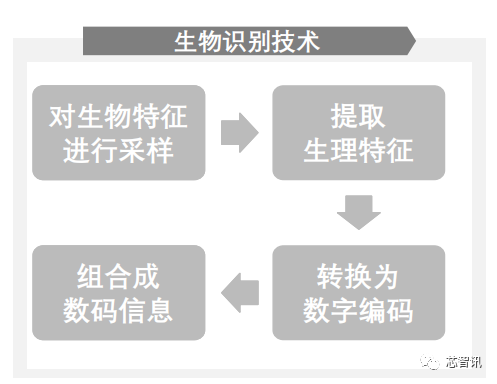 交易密码属于什么类别信息_imtoken交易密码类型_密码交易平台