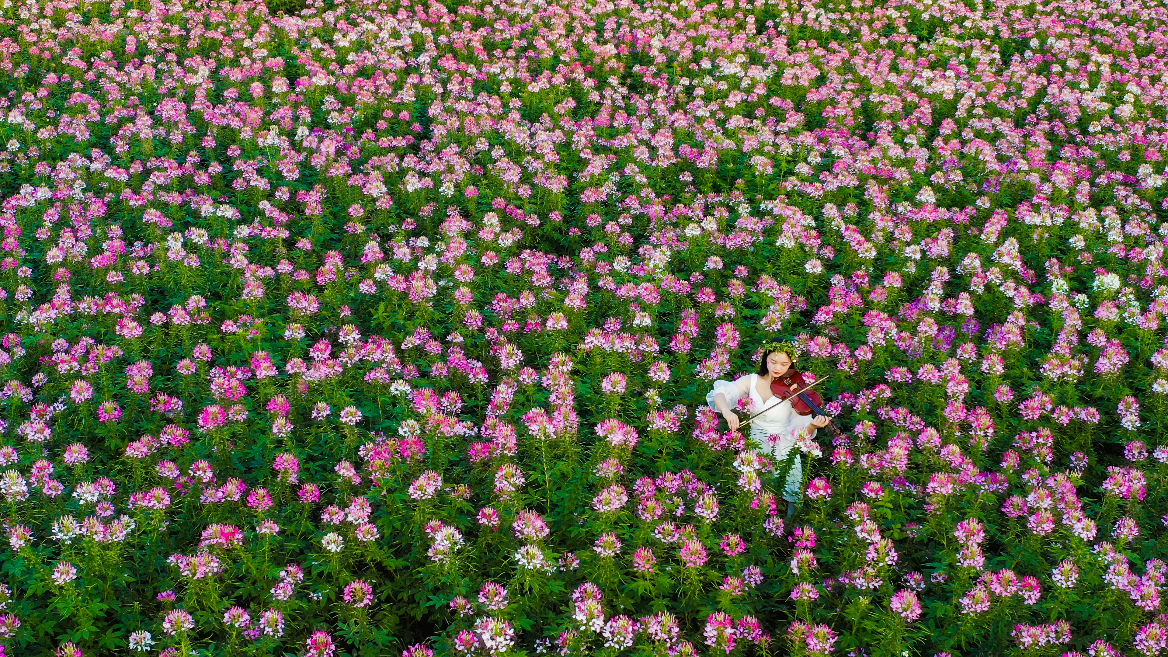 imtoken苹果下载教程_imtoken苹果版下载链接_imtoken苹果版本