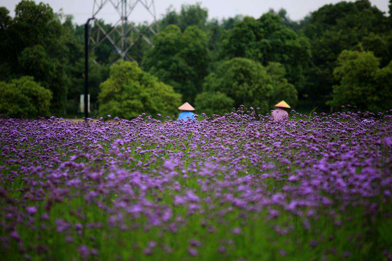 imtoken苹果版下载链接_imtoken苹果版本_imtoken苹果下载教程