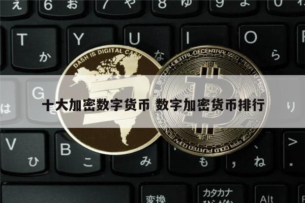 imtoken网站地址_免费ip地址网站_地址网站查询