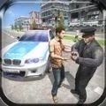 边防警察西姆游戏官方版 边防警察西姆游戏官方版