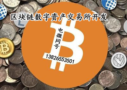 imtoken支持的币种_imtoken钱包支持bnb_imtoken支持多少种币