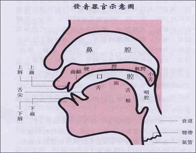 读音软件_读音是什么意思_imtoken读音