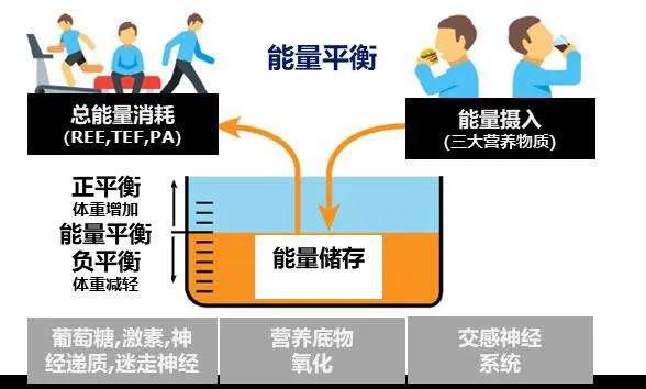 trx钱包能量_钱能量_im钱包能量不足