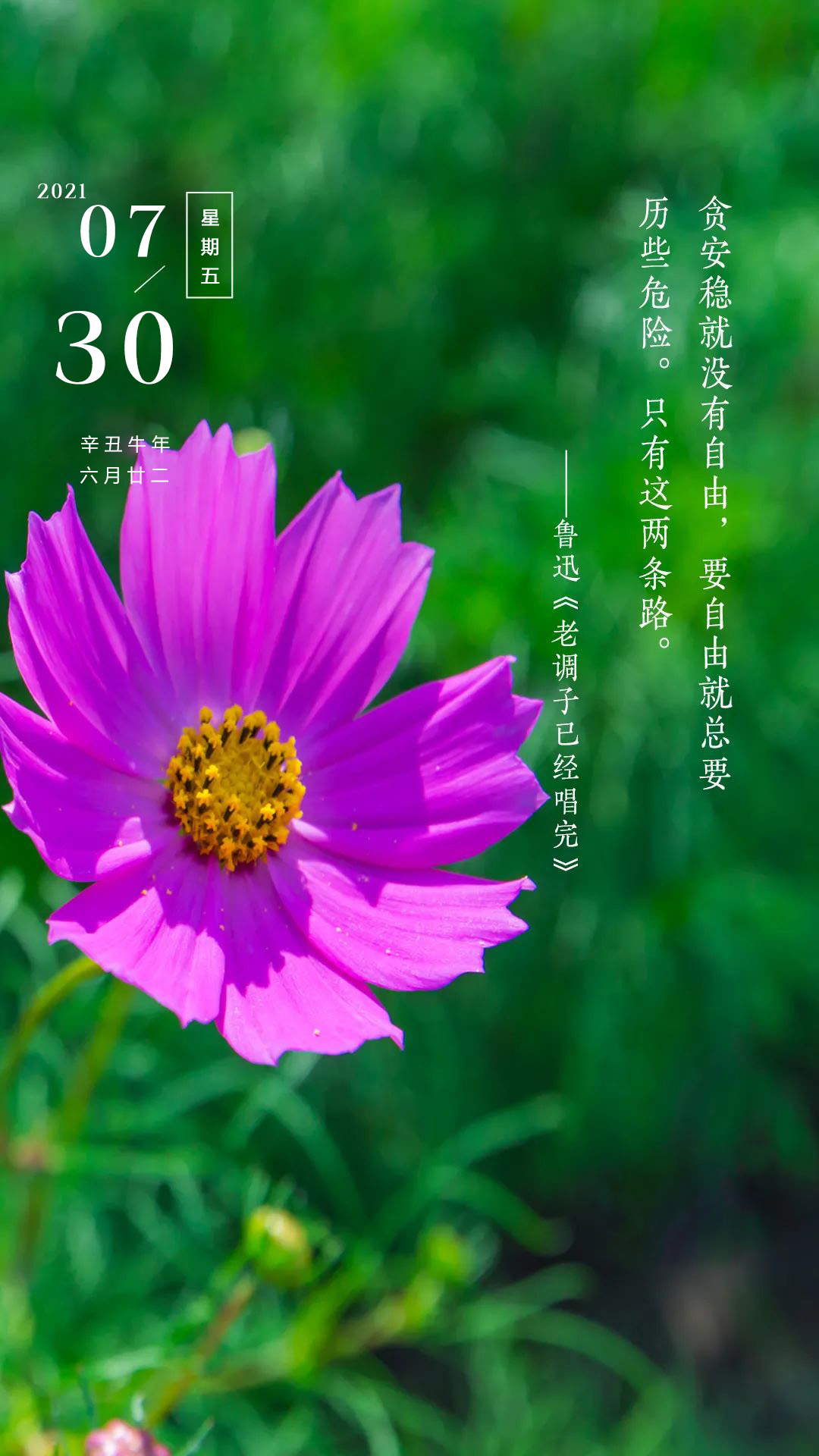 预期价格是什么意思_im钱包lon预期价格_预期价格上涨是什么意思