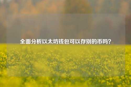 im钱包能放比特币吗-im 钱包能否存放比特币？如何选择安全的 im 钱包？