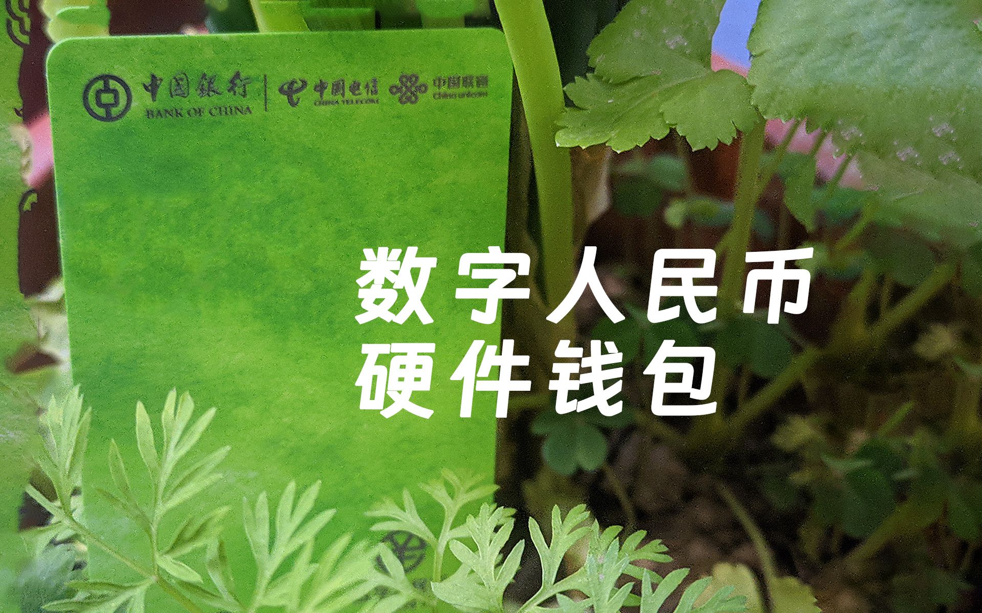 钱包下载官网_钱包最新版本_imtoken钱包最新版下载