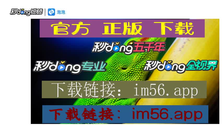 im钱包怎么使用-IM 钱包使用攻略：从下载到创建钱包，轻松搞定