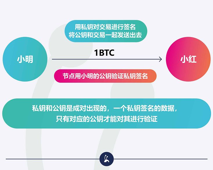 钱包私钥是不是就是钱包地址_钱包私钥是导出到哪里_im钱包私钥是什么