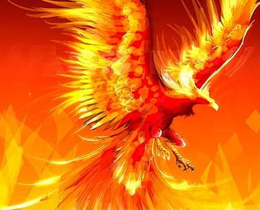 百科百度百科官网_imtoken百度百科_百科百度百科高以翔