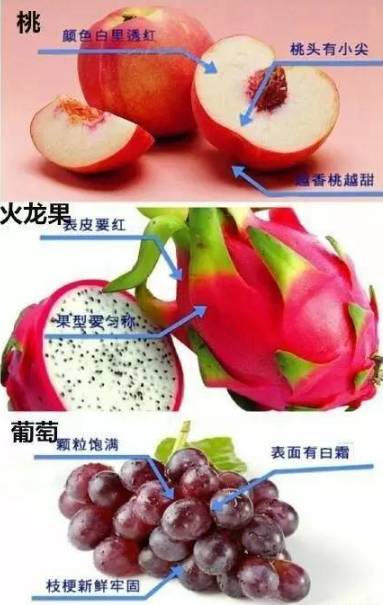 转账提示失败_im钱包转账失败会怎么样_im钱包转账失败