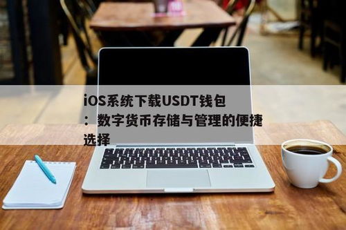 Usdt钱包系统,功能、优势与使用指南