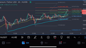 比特币每天实战多少,如何把握每日交易机会