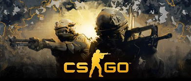 csgo助手辅助app免费下载 