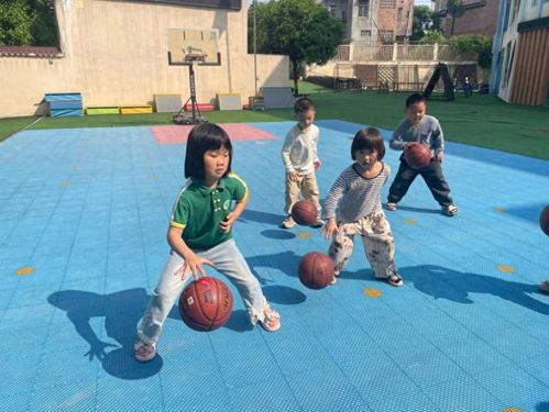 孤独的鸟儿游戏官方版2024下载安装v2.4 