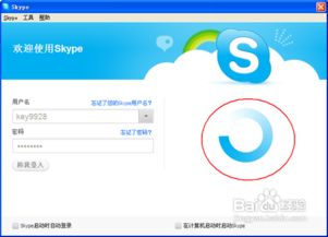 skype离开内网闪退,Skype内网环境闪退问题解析与解决方案
