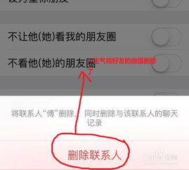 skype删除了好友怎么加回来,如何恢复添加方法解析”