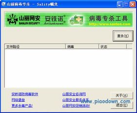 skype病毒专杀工具,全面解析与使用指南