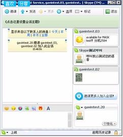 skype哪里用的人多,探索沟通无界的热点地带