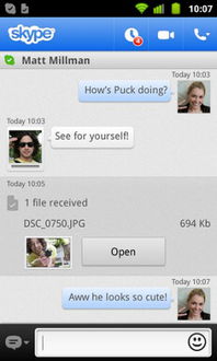 skype收發文件失敗,Skype文件发送故障排查与解决指南