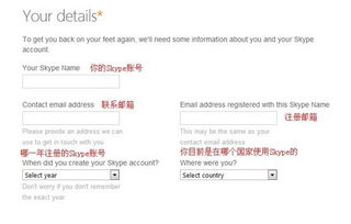 Skype号被盗,揭秘网络安全的危机与应对策略