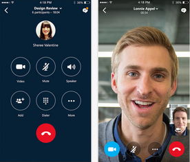 skype 静音,轻松掌控通话环境