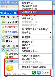 skype发短信是发在手机上吗,手机端即时通讯新体验