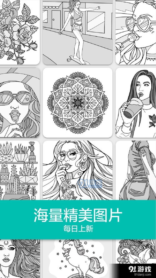 给向日葵着色游戏官方版下载最新版2024 