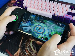 地狱有什么不好游戏官网版 
