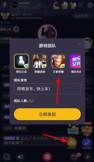 kook开黑语音助手 kook开黑语音助手