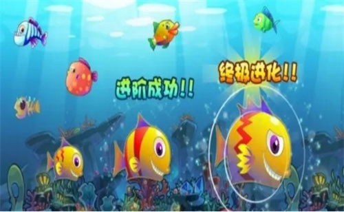 这条鱼的一生 