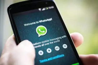whatsapp使用免费吗,揭秘即时通讯的便捷之道
