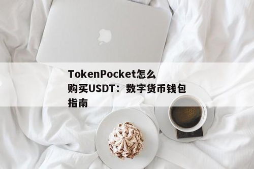 购买usdt的钱包,揭秘购买流