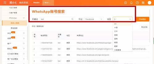 whatsapp怎么搜客户,高效挖掘潜在客户的秘诀