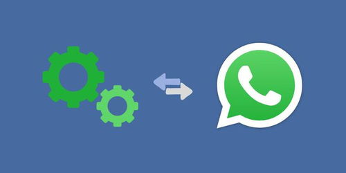 whatsapp怎么 所有人,如何让所有人参与生成一篇精彩概述文章副标题
