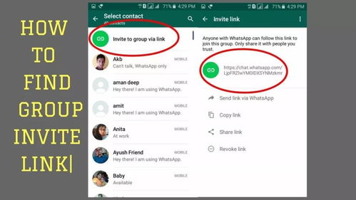 whatsapp怎么采集号码,掌握高效号码生成技巧