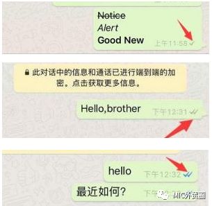 whatsapp怎么打开已读回执,如何开启WhatsApp已读回执功能