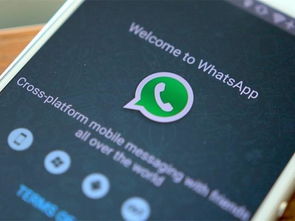 whatsapp商务版和个人版,功能对比与适用场景解析