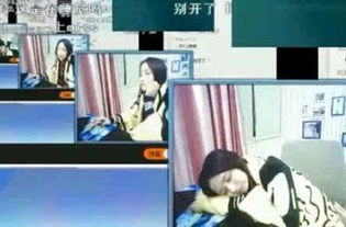 主播和猫的故事游戏最新版 