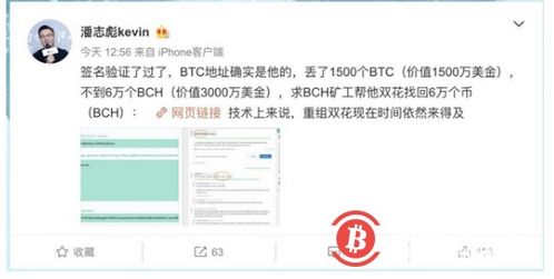 被盗加密货币地址监测,揭秘加密货币地址监测策略