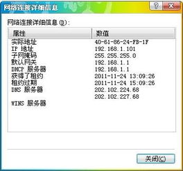 电脑版WhatsApp掉线重启怎么办,WhatsApp电脑版掉线重启解决方案详解
