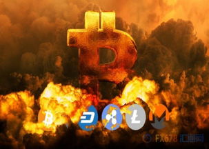 加密货币大佬为何被杀,暗流涌动的数字货币江湖