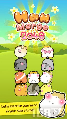 仓鼠游乐场手机版下载 