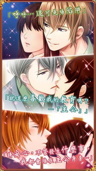 天线宝宝的午夜后宫 