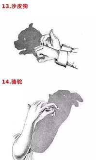 女神异闻录夜幕魅影游戏正式版预下载官网版 