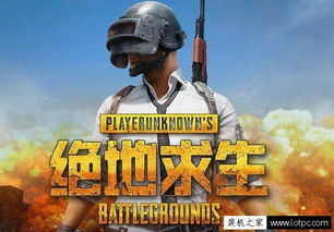 末日荒岛求生游戏 