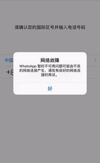 whatsapp如何换号登陆,操作指南详解