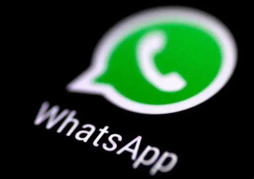 whatsapp色聊,揭秘WhatsApp上的色情聊天现象